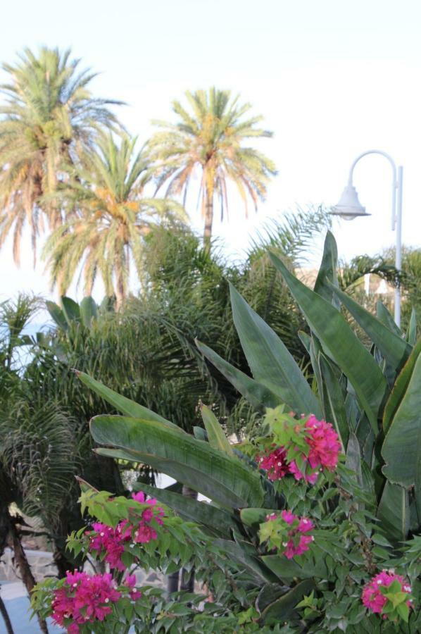شقة Almuñécar  في Bella Andalucia المظهر الخارجي الصورة